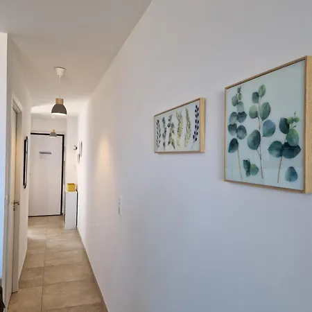 Vue Panoramique Pres De Porticcio *